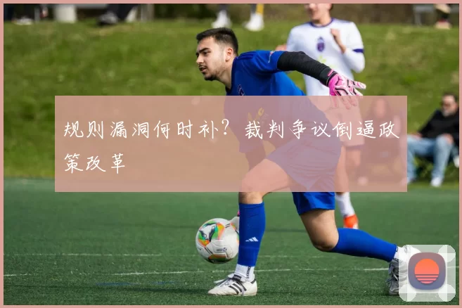 规则漏洞何时补？裁判争议倒逼政策改革