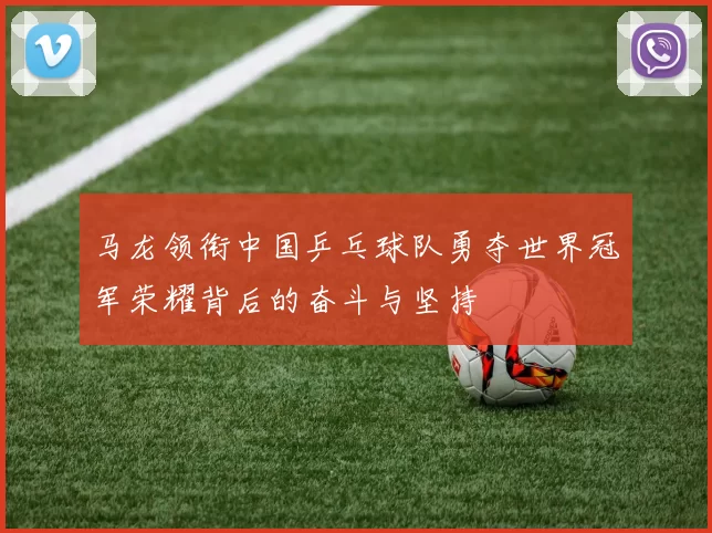 马龙领衔中国乒乓球队勇夺世界冠军荣耀背后的奋斗与坚持