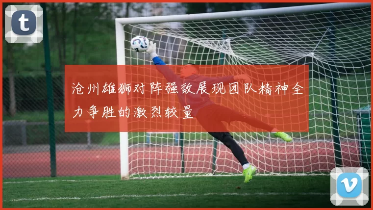 沧州雄狮对阵强敌展现团队精神全力争胜的激烈较量