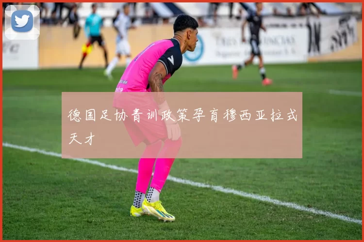 德国足协青训政策孕育穆西亚拉式天才