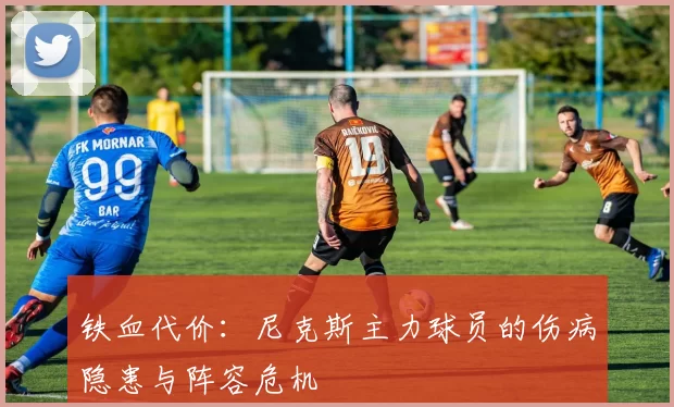 铁血代价：尼克斯主力球员的伤病隐患与阵容危机